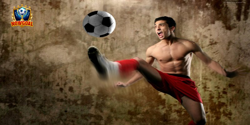 Nowgoal kết nối nhiều dữ liệu để hỗ trợ quá trình tham khảo